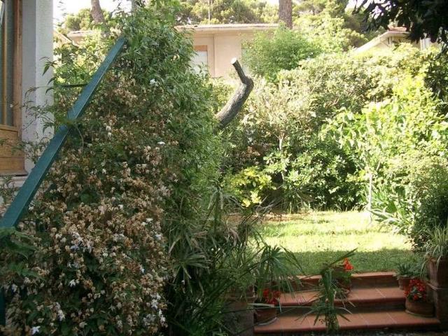 Vacanza Affitto Appartamento, in zona CASTIGLIONCELLO, ROSIGNANO MARITTIMO