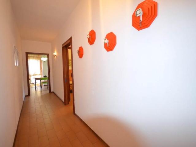 Vacanza Affitto Appartamento, in zona CASTIGLIONCELLO, ROSIGNANO MARITTIMO