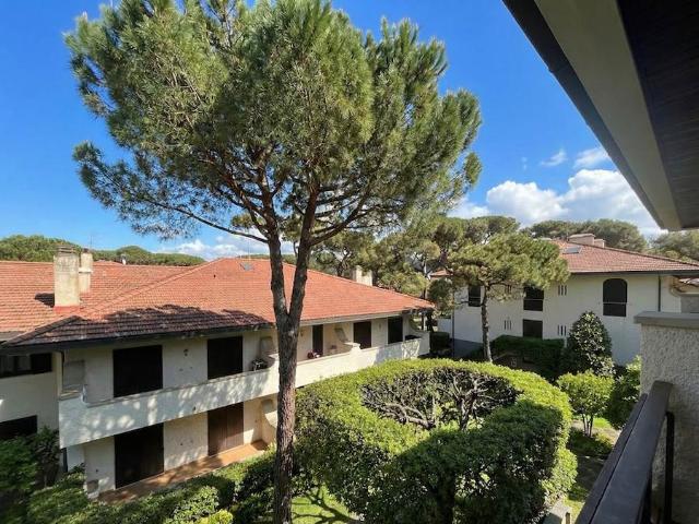 Vacanza Affitto Appartamento, in zona CASTIGLIONCELLO, ROSIGNANO MARITTIMO