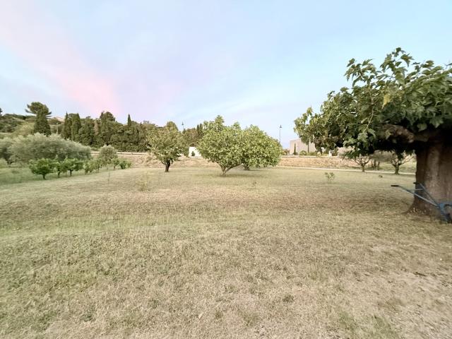 Vacqueyras Vente Terrain 84