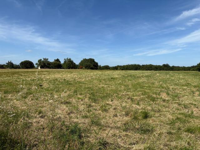 Vacquiers Vente Terrain 31