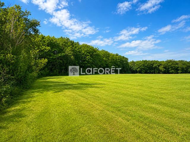 Vacquiers Vente Terrain 31