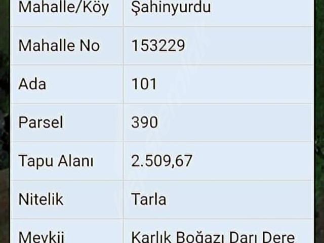 vadi içinde doğa manzaralı tarla