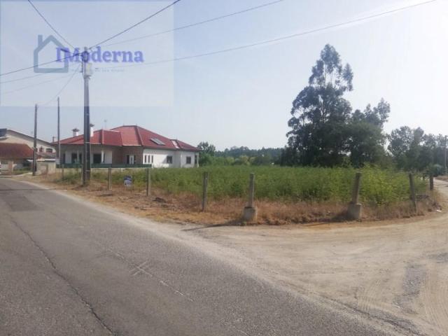 Vagos Vagos 96849527