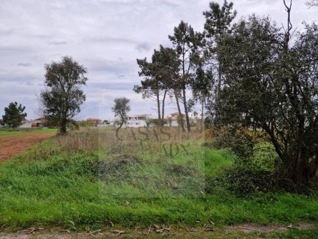 Vagos Vagos 103416840
