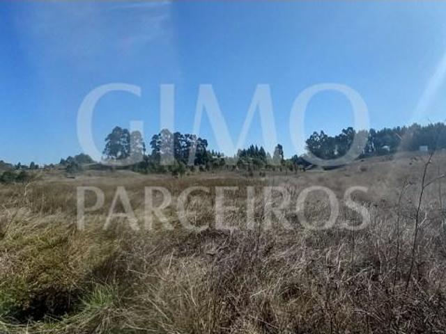 Vagos Vagos 103578694