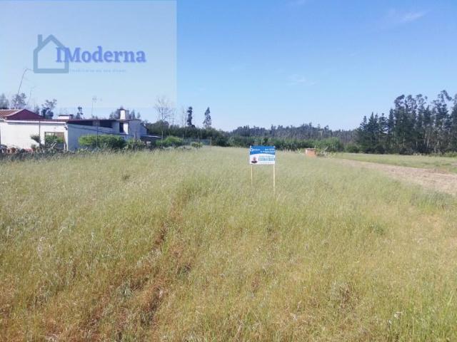 Vagos Vagos 104085457