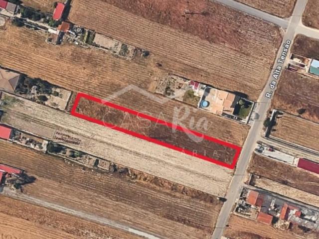 Vagos Vagos 105189710