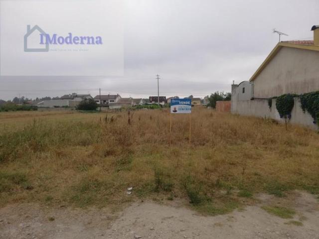 Vagos Vagos LS102811022