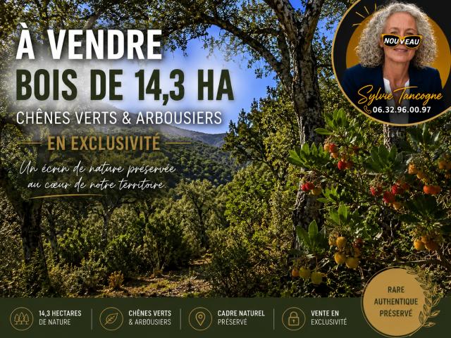 Vailhauquès Vente Terrain 34