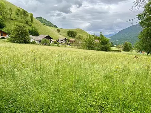 Vailly 74470 Achat / Vente terrain