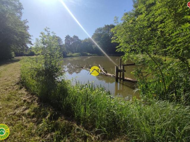 Vailly sur Sauldre Vente Terrain 18