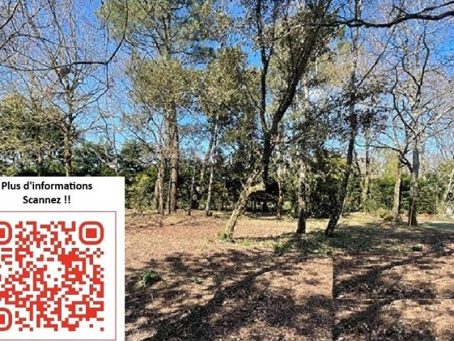 Vairé Vente Terrain 85