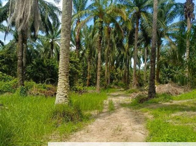 [VALUE BUY] Jeram Kuala Selangor 2.86Acre Agriculture Land