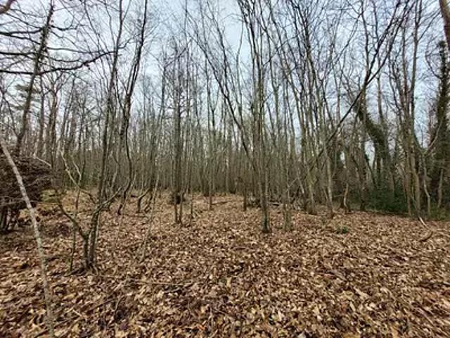 Val au Perche 61260 Achat / Vente terrain