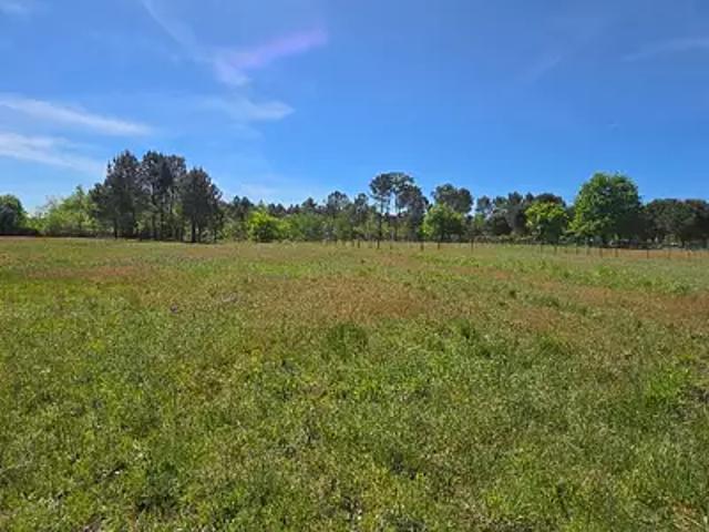 Val de Virvée 33240 Programme neuf terrain neuf à vendre