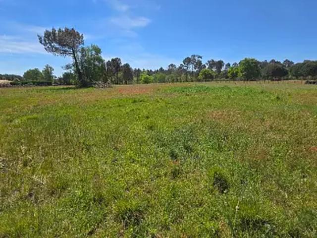 Val de Virvée 33240 Programme neuf terrain neuf à vendre