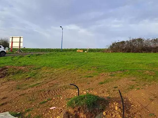 Val d'Erdre Auxence 49370 Programme neuf terrain neuf à vendre