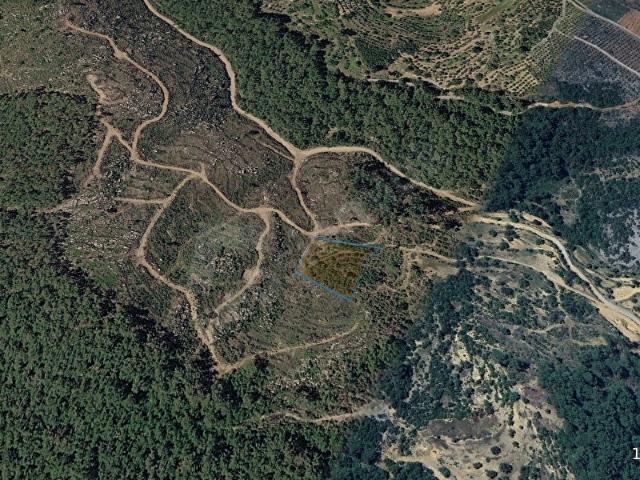 VALDEN ALANYA SABURLAR 4.899 M TEK TAPU YATIRIMLIK FIRSAT