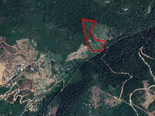 VALDEN GAZİPAŞA GÜRÇAM DOĞA İÇİNDE 24 DÖNÜM TEK TAPU ARAZİ