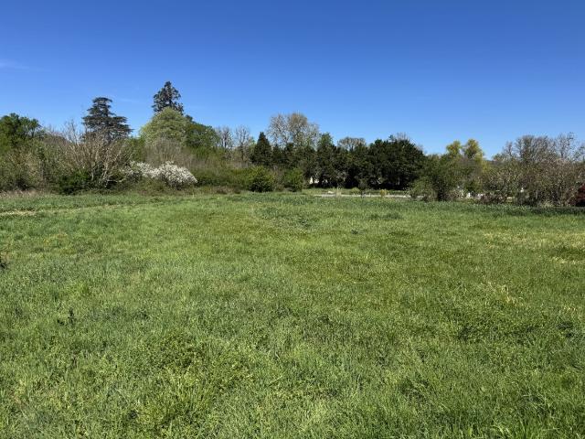 Valdurenque Vente Terrain 81