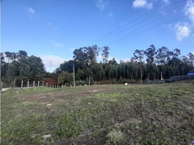 Valença Valença 95488152