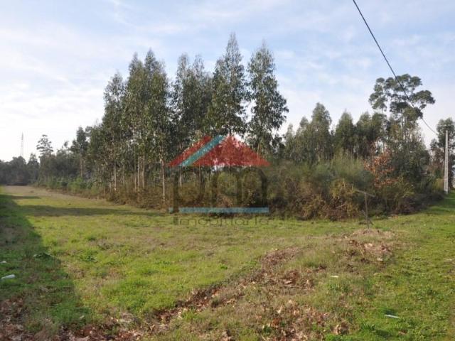 Valença Valença 99994375