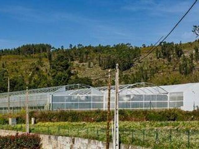 Valenca Viana Do Castelo 103599330