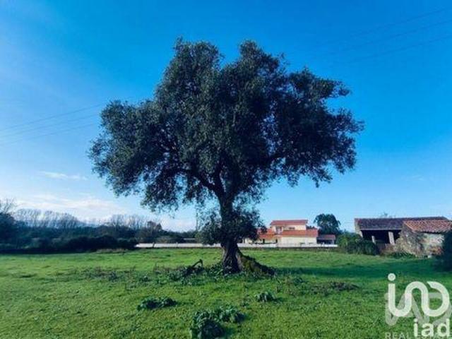Valenca Viana Do Castelo LS98150651