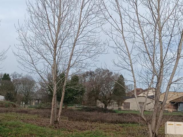 Valence Vente Terrain 82