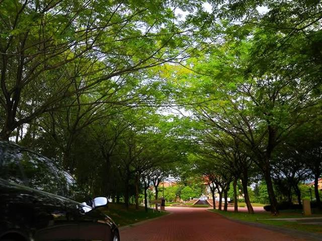 valencia, Valencia, Sungai Buloh
