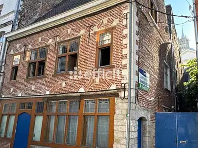 Valenciennes 59300 Achat / Vente maison 9 pièces t9 terrasse cave