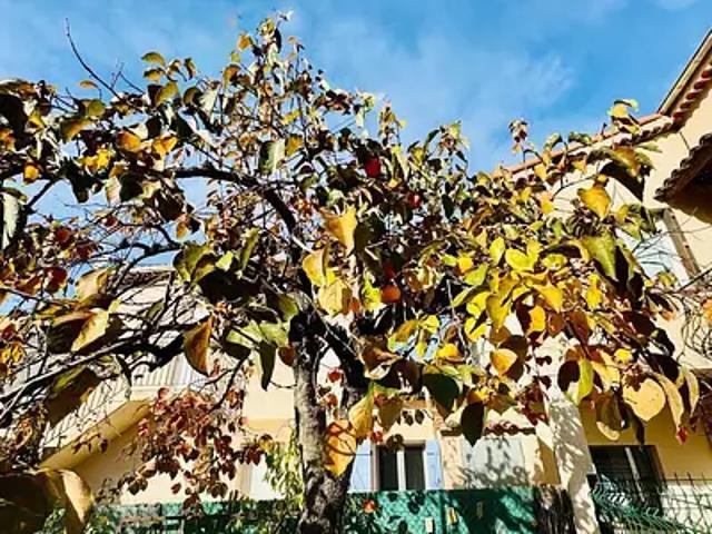 Vallauris 06220 Achat / Vente appartement 3 pièces t3