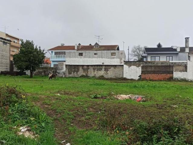 Valongo Porto 103381505