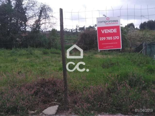 Valongo Porto 48069597