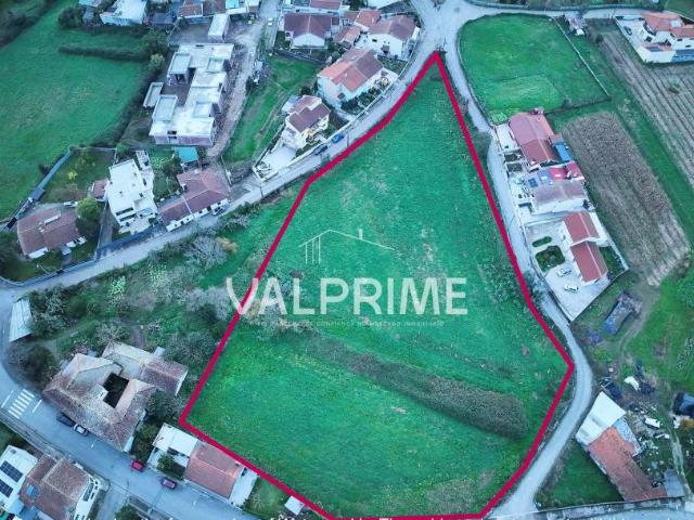 Valongo Porto 97392000