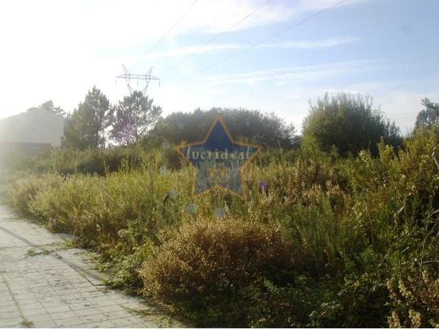 Valongo Valongo 102976288