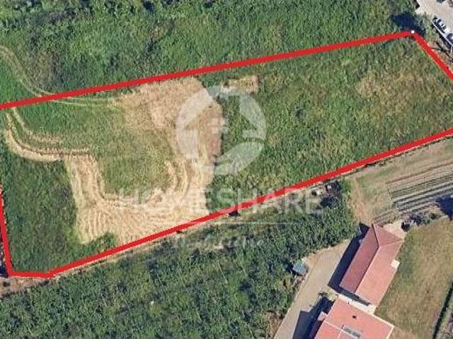 Valongo Valongo LS101226435