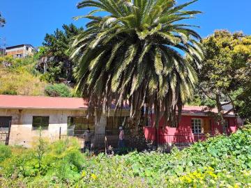 Valparaíso, Avenida Playa Ancha
