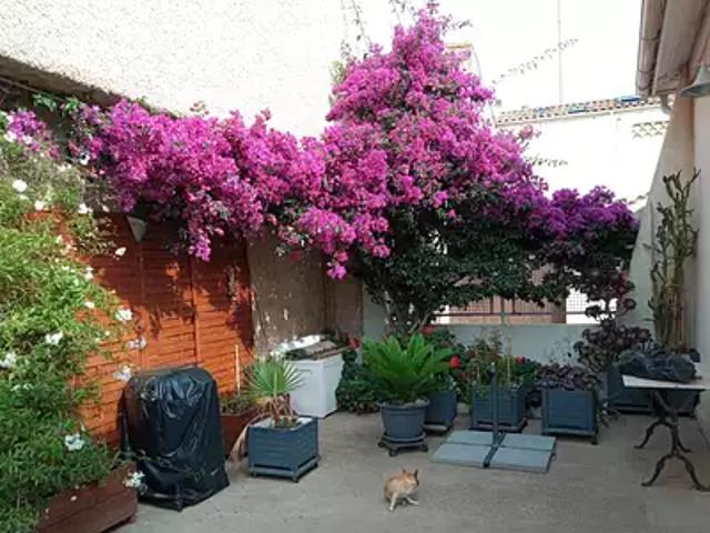 Valras Plage 34350 Achat / Vente maison 3 pièces t3