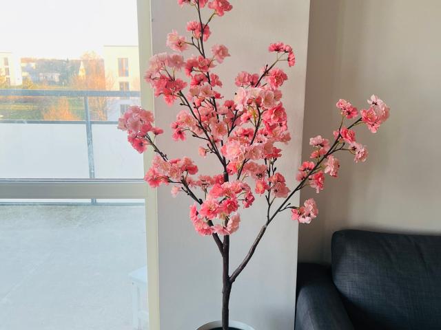 Varmt Välkomna! 20 m² 5 500 kr
