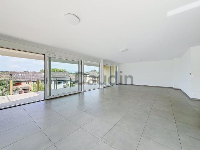 Vaste appartement de 6 pièces avec terrasse à Bellevue