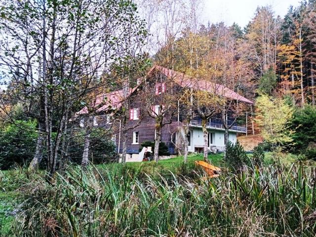 Vaste Immeuble Type Chalet Gros potentiel