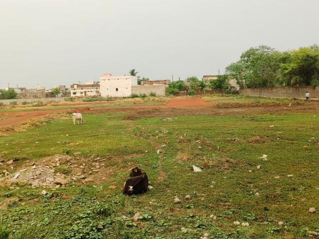 Vasundhara City 1174 Sq.Ft. Plot in Sejbahar Raipur Listing ID: #8875