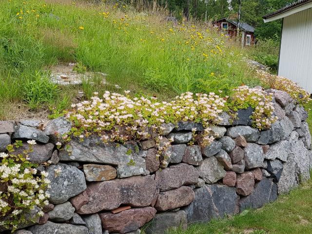 Vätövägen 575
