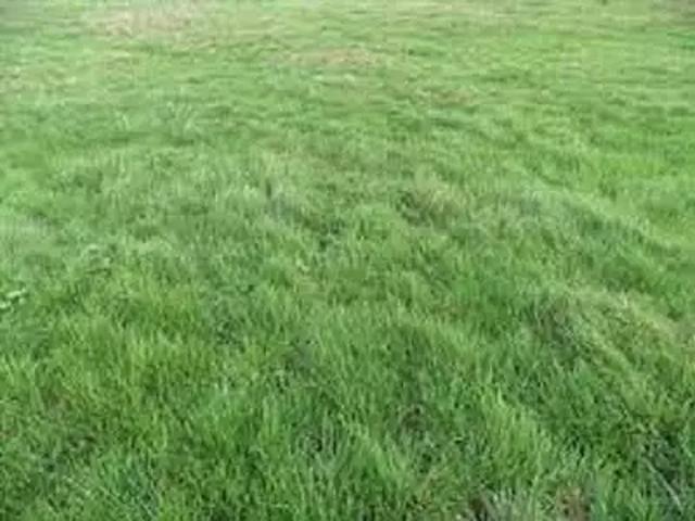 Vaux le Pénil 77000 Programme neuf terrain neuf à vendre