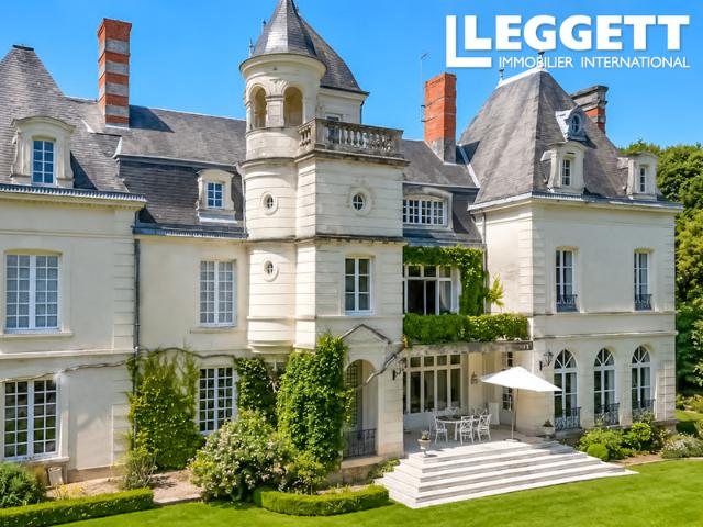 Vaux sur Vienne Vente Propriété/château 86