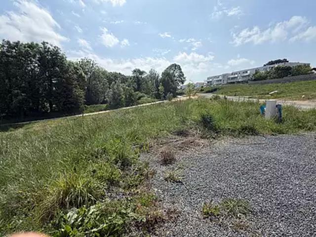 Vaux sur Mer 17640 Achat / Vente terrain