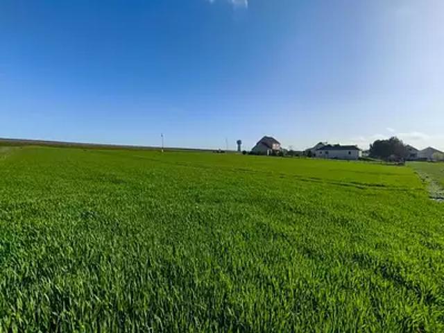 Vaudemange 51380 Achat / Vente terrain