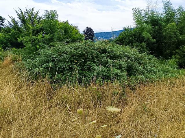 Vaugneray Vente Terrain 69